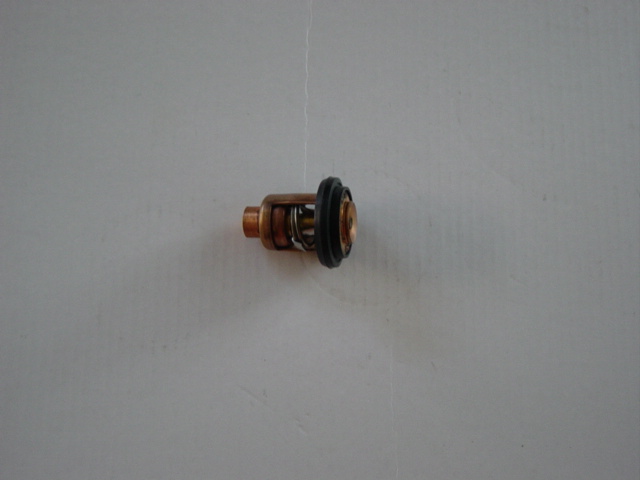 Thermostat 9,5 12 15 20 25 28 30 40ps